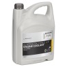 Antigel Diluat Oe Renault Glaceol RX Type E LDR Albastru 5L 7711947051 Antigel Diluat Oe Renault Glaceol RX Type E LDR Albastru 5L 7711947051