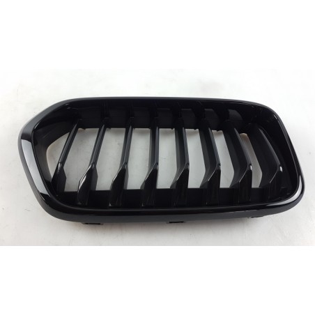 Grille De Radiateur BMW 51712455247 2455247 Pièce d'origine oem Grille De Radiateur BMW 51712455247 2455247 Pièce d'origine oem
