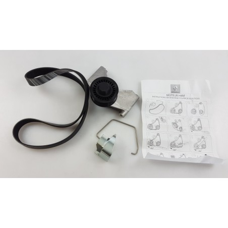 Kit De Courroie Trapézoïdale À Nervures RENAULT 117205500R Pièce d'origine oem Kit De Courroie Trapézoïdale À Nervures RENAULT 117205500R Pièce d'origine oem