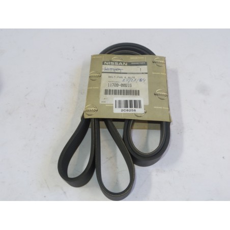 Courroie Trapézoïdale À Nervures NISSAN 1172000Q1G Pièce d'origine oem Courroie Trapézoïdale À Nervures NISSAN 1172000Q1G Pièce d'origine oem