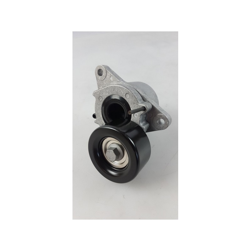 Tendeur De Courroie NISSAN 119555X00E  Pièce d'origine oem