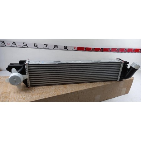 Intercooler De Turbocompresseur RENAULT 144962019R Pièce d'origine oem Intercooler De Turbocompresseur RENAULT 144962019R Pièce d'origine oem