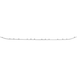 VW CHROMLEISTE VORN   PASSAT,  STOSSST ZUBEHÖR VORN 19-23               MITTE,