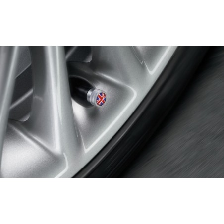 Jeu De Bouchons De Valve BMW 36120422550 0422550 Pièce d'origine oem Jeu De Bouchons De Valve BMW 36120422550 0422550 Pièce d'origine oem