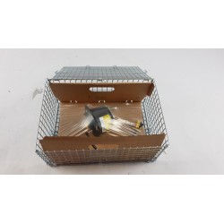 Airbag JAGUAR C2P16233  Pièce d'origine oem