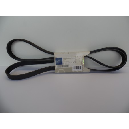 Courroie Trapézoïdale À Nervures MERCEDES-BENZ A008997369264 008997369264 Pièce d'origine oem Courroie Trapézoïdale À Nervures MERCEDES-BENZ A008997369264 008997369264 Pièce d'origine oem
