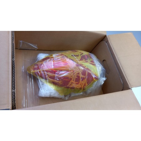 Feu Arrière HYUNDAI/KIA 92402A2200 Pièce d'origine oem Feu Arrière HYUNDAI/KIA 92402A2200 Pièce d'origine oem