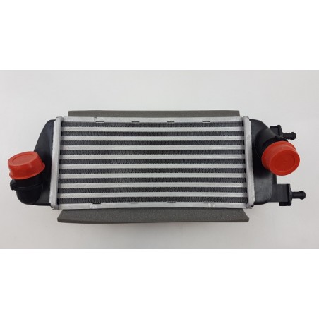 Intercooler De Turbocompresseur FIAT GROUP 51930049 0051930049 Pièce d'origine oem Intercooler De Turbocompresseur FIAT GROUP 51930049 0051930049 Pièce d'origine oem