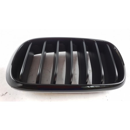Grille De Radiateur BMW 51712334708 2334708 Pièce d'origine oem Grille De Radiateur BMW 51712334708 2334708 Pièce d'origine oem