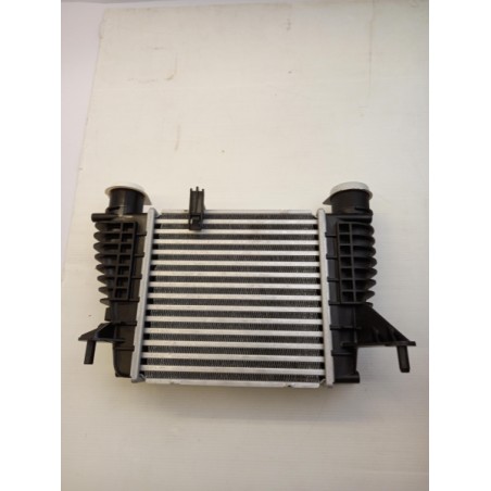 Intercooler De Turbocompresseur NISSAN 14461EM00A  Pièce d'origine oem