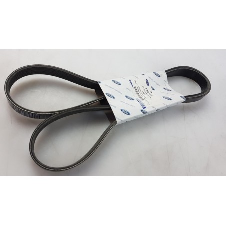 Courroie Trapézoïdale À Nervures FORD 1723603 AC1Q6C301CA Pièce d'origine oem Courroie Trapézoïdale À Nervures FORD 1723603 AC1Q6C301CA Pièce d'origine oem