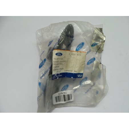 Plaque De Contact De Porte FORD 4420423 2C1T14A658BA Pièce d'origine oem Plaque De Contact De Porte FORD 4420423 2C1T14A658BA Pièce d'origine oem