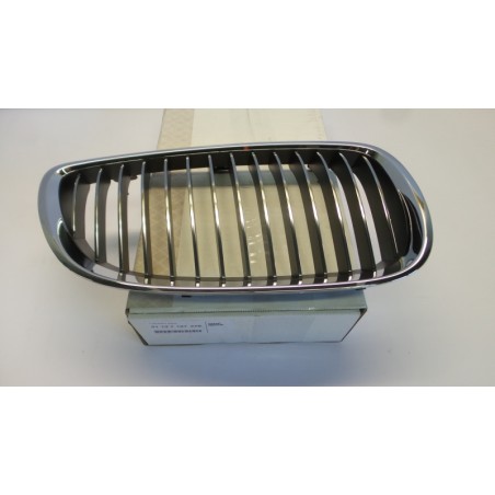 Grille De Radiateur BMW 51137157278 7157278 Pièce d'origine oem Grille De Radiateur BMW 51137157278 7157278 Pièce d'origine oem