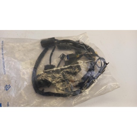 Faisceaux De Câbles Pour Porte FORD 1097403 98VW14A494BC Pièce d'origine oem Faisceaux De Câbles Pour Porte FORD 1097403 98VW14A494BC Pièce d'origine oem