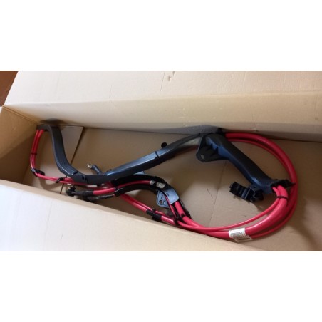 Câble BMW 61129205520 9205520 Pièce d'origine oem Câble BMW 61129205520 9205520 Pièce d'origine oem