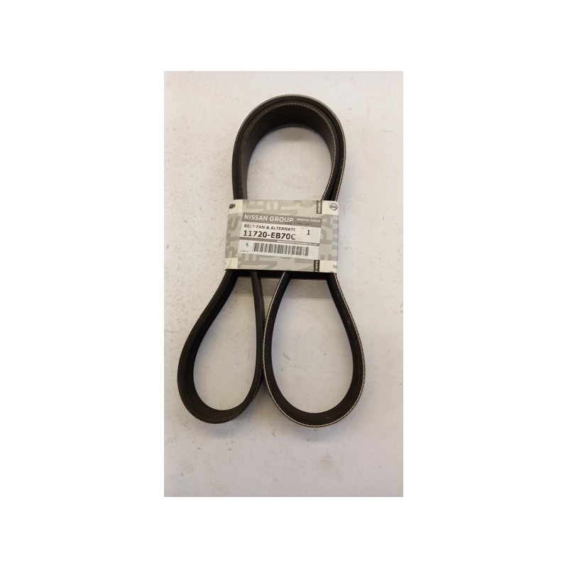Courroie Trapézoïdale À Nervures NISSAN 11720EB70C  Pièce d'origine oem