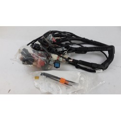 Faisceaux De Câbles Pour Moteur RENAULT 7701065594  Pièce d'origine oem