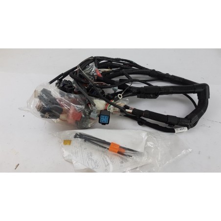 Faisceaux De Câbles Pour Moteur RENAULT 7701065594  Pièce d'origine oem