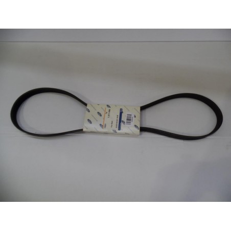 Courroie Trapézoïdale À Nervures FORD 1011696 91XX6C301B1B Pièce d'origine oem Courroie Trapézoïdale À Nervures FORD 1011696 91XX6C301B1B Pièce d'origine oem