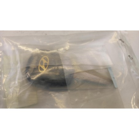 Clé HYUNDAI/KIA 819960X300  Pièce d'origine oem