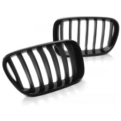 Grille noire brillante-noire mate compatible BMW X3 F25 10-07.14
