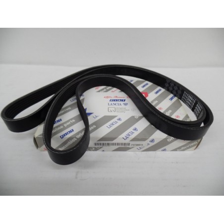 Courroie Trapézoïdale À Nervures FIAT GROUP 71739915 0071739915 Pièce d'origine oem Courroie Trapézoïdale À Nervures FIAT GROUP 71739915 0071739915 Pièce d'origine oem