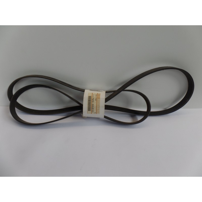 Courroie Trapézoïdale À Nervures NISSAN 117206N200  Pièce d'origine oem