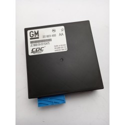 Unité De Contrôle OPEL 20923493 1247083 Pièce d'origine oem
