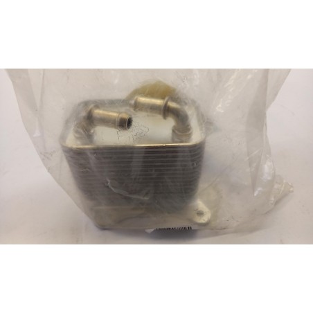 Pièces D''Auto RENAULT 213053124R Pièce d'origine oem Pièces D''Auto RENAULT 213053124R Pièce d'origine oem
