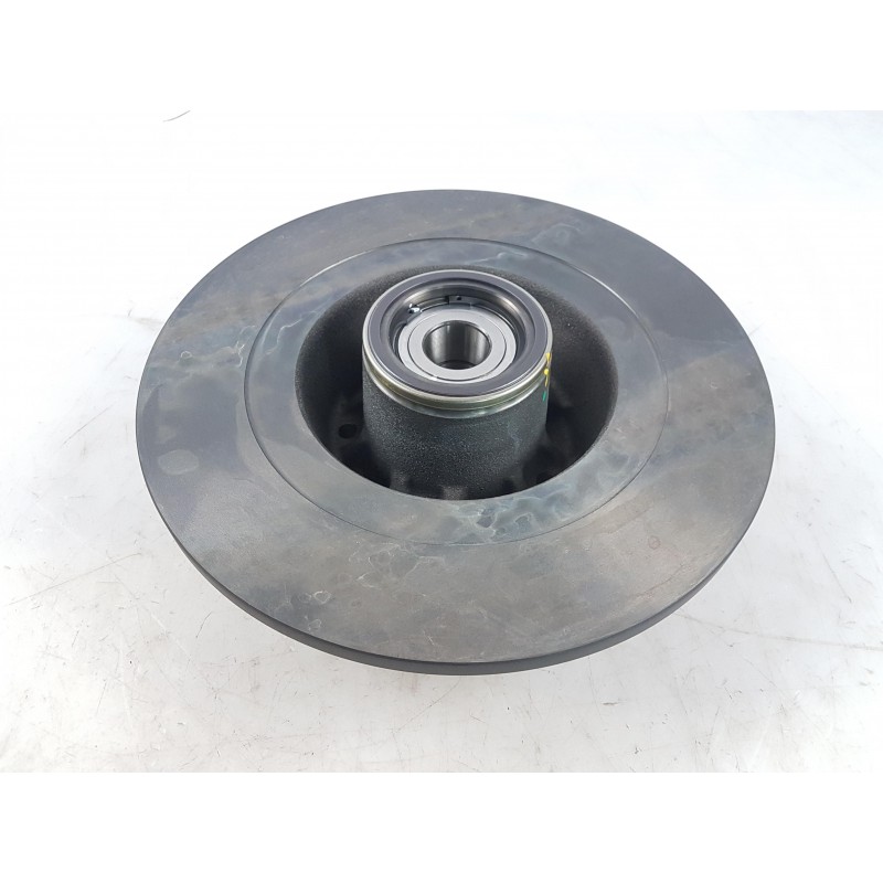 Disque De Frein (1 Pièce) RENAULT 402023273R  Pièce d'origine oem