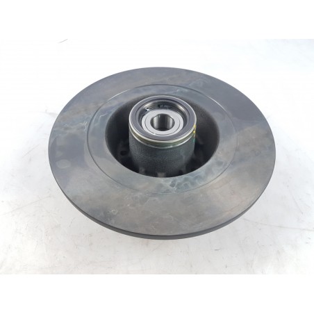 Disque De Frein (1 Pièce) RENAULT 402023273R  Pièce d'origine oem