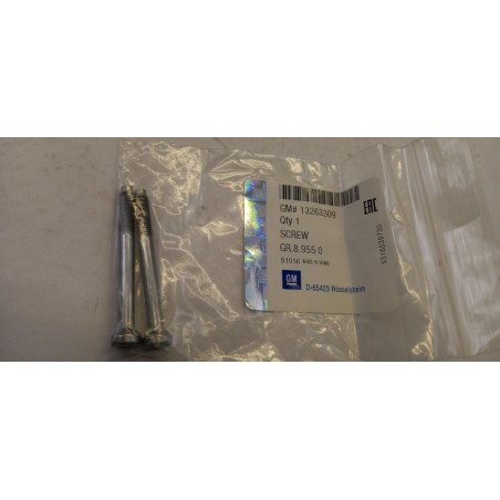 Jeu De Boulons OPEL 13263309 2001741 Pièce d'origine oem