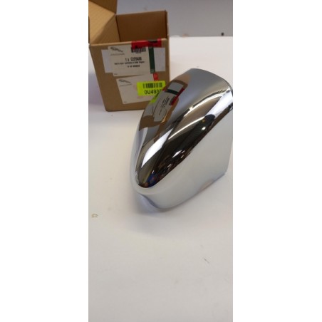 Couvercle De Rétroviseur Extérieur JAGUAR C2D5488 Pièce d'origine oem Couvercle De Rétroviseur Extérieur JAGUAR C2D5488 Pièce d'origine oem