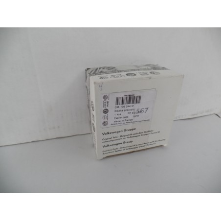 Tendeur De Courroie VAG 038109244M  Pièce d'origine oem