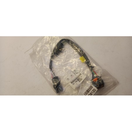 Faisceaux De Câbles PEUGEOT/CITROEN 9818631080  Pièce d'origine oem