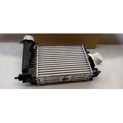 Intercooler De Turbocompresseur NISSAN 1441100Q4L  Pièce d'origine oem