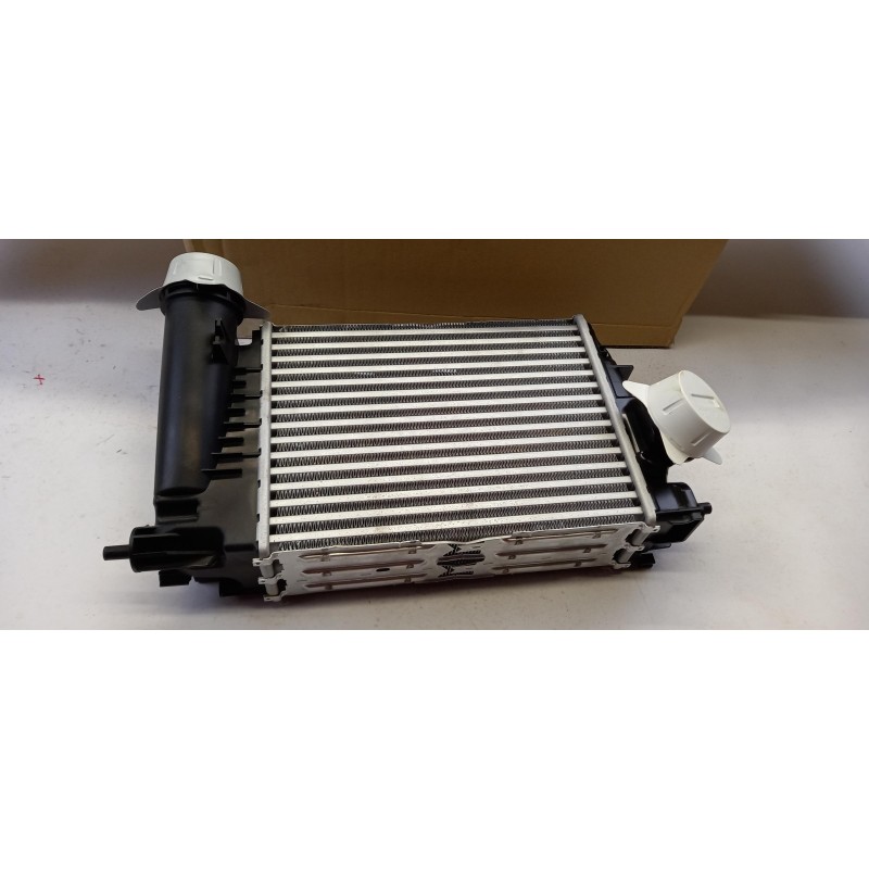 Intercooler De Turbocompresseur NISSAN 1441100Q4L  Pièce d'origine oem