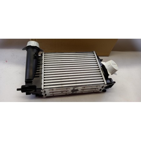 Intercooler De Turbocompresseur NISSAN 1441100Q4L  Pièce d'origine oem