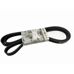 Courroie Trapézoïdale À Nervures - PORSCHE - référence OEM: 059903137AG