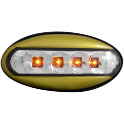 LED Clignotants latéraux Peugeot 206  boitier golden _ RS clear