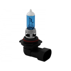 Ampoules Xénon HB4 12V/55W (2 pièces)