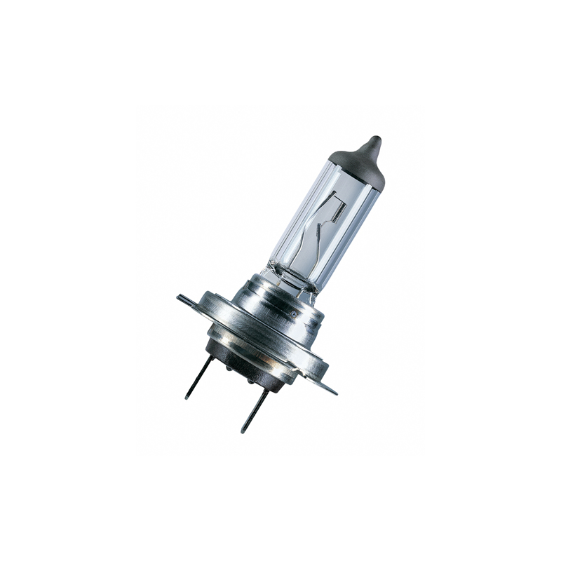 AMPOULE HALOGENE H10 BOITE CARTON x 1