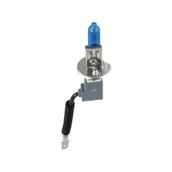 Xenon Lampe X Evolution H1 12 Volt/100 Watt 2 Stk.