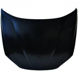 capot                   X1 E84,