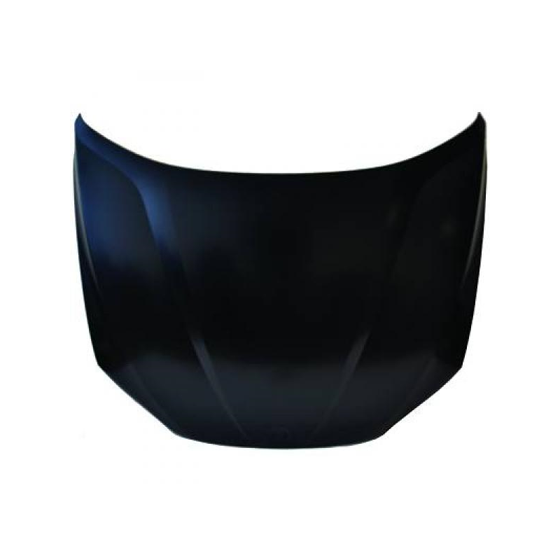 capot                   X1 E84,