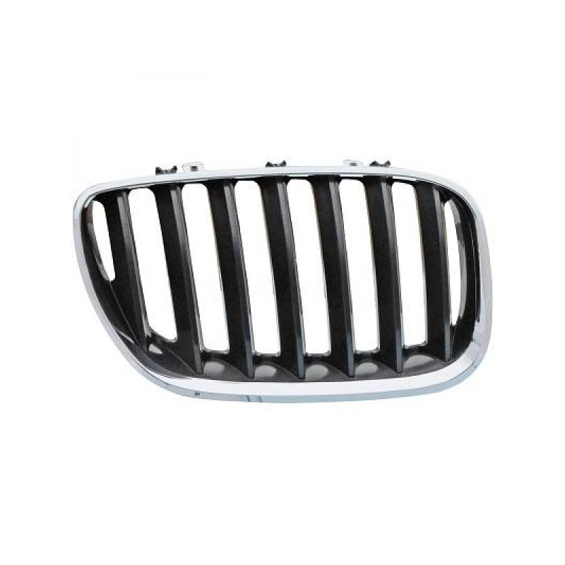 GRILL RE.          BMW X5,
