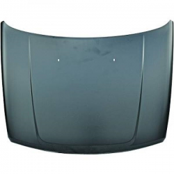 capot moteur        LIBERTY,