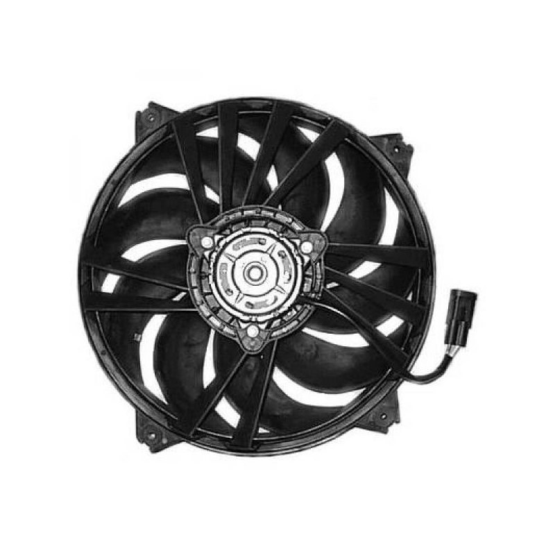 K�HLERL�FTER      PICASSO,