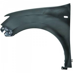 KOTFLÜGEL RE.     SANDERO,