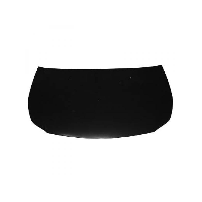 MOTORHAUBE    SEIDICISX4,